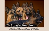 Wlach�v dv�r