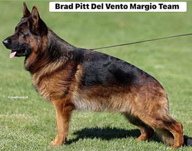 Brad Pitt del Vento Margio Team